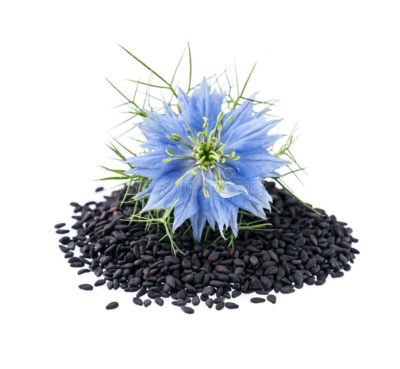 black-cumin-seeds-nigella-sativa-flower-white-backgrounds-222778993