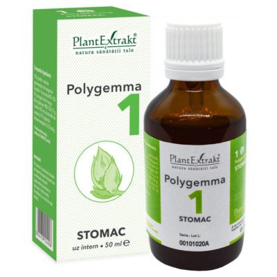polygemma-1