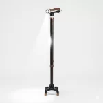 baston cu 4 picioare si lumina biomed.md chisinau moldova