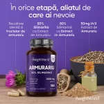 Armurariu extract capsule Silimarina Biomed.md Chisinau Moldova