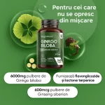 Ginkgo Biloba cu Ginseng Siberian – 6600 mg | 365 Tablete Vegane biomed.md chisinau moldova