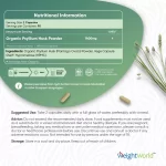 Tarata de Psyllium in Capsule 1400mg , 180 capsule  – Fibre Naturale pentru Digestie, Detoxifiere și Controlul Greutatii biomed.md chisinau moldova