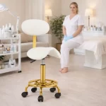 Scaun ergonomic cu suport lombar biomed.md chisinau moldova