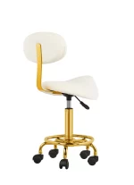 Scaun ergonomic cu suport lombar biomed.md chisinau moldova