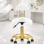 Scaun ergonomic cu suport lombar – reglabil, cu sistem hidraulic și roți biomed.md chisinau moldova