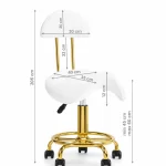 Scaun ergonomic cu suport lombar – reglabil, cu sistem hidraulic și roți biomed.md chisinau moldova