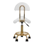 Scaun ergonomic cu suport lombar – reglabil, cu sistem hidraulic și roți biomed.md chisinau moldova
