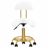 Scaun ergonomic cu suport lombar – reglabil, cu sistem hidraulic și roți biomed.md chisinau moldova